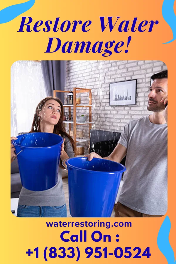 water restoration National Flood Cleanup Professionals Denver
