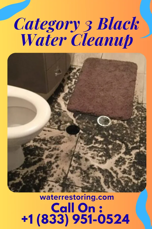 Category 3 Black Water Cleanup in Denver, PA