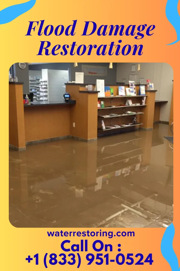 Flood Damage Restoration in Denver, PA