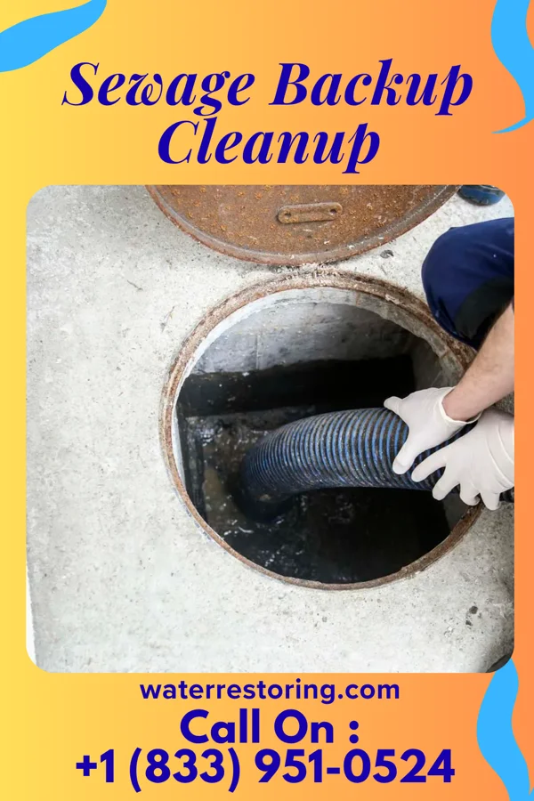 Sewage Backup Cleanup in Denver, PA
